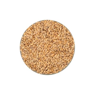 Thracian CaraPils (FBA) Malt